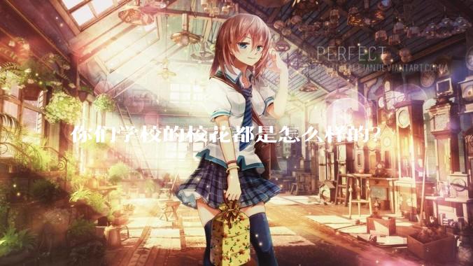 你们学校的校花都是怎么样的？