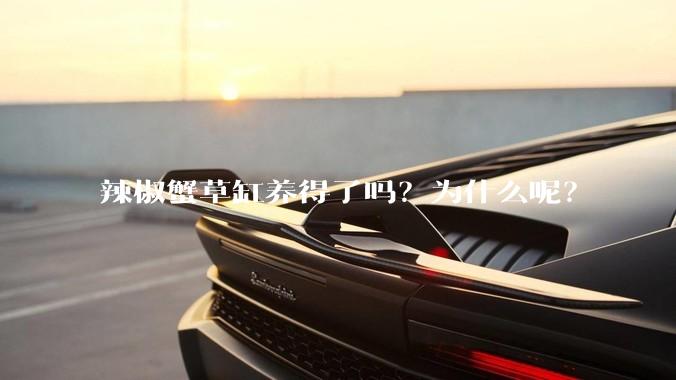 辣椒蟹草缸养得了吗？为什么呢？