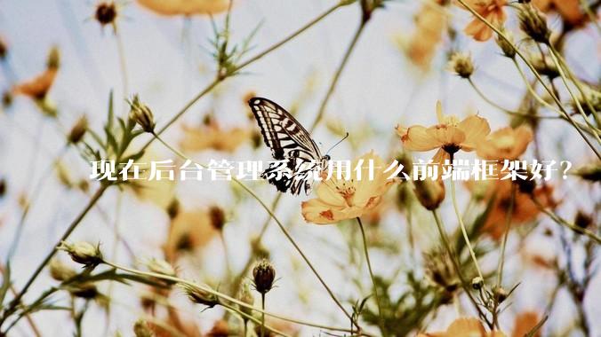 现在后台管理系统用什么前端框架好？