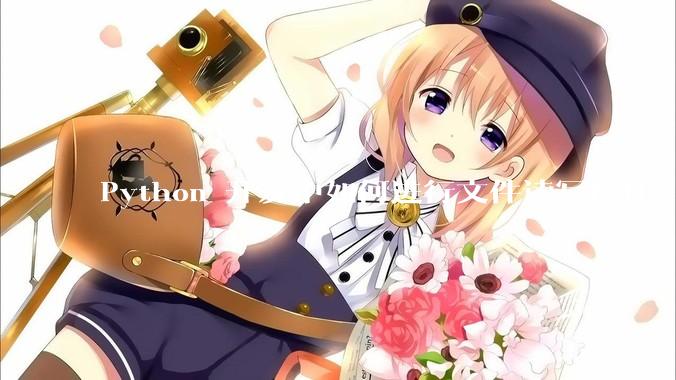 Python 开发中如何进行文件读写操作？