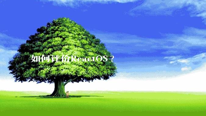 如何评价ReactOS?