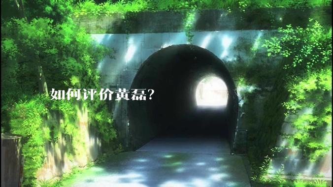 如何评价黄磊？