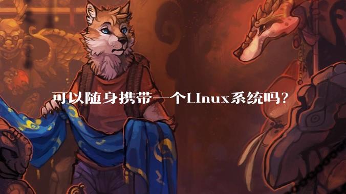 可以随身携带一个Linux系统吗？